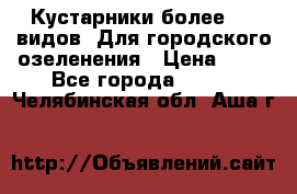 Кустарники более 100 видов. Для городского озеленения › Цена ­ 70 - Все города  »    . Челябинская обл.,Аша г.